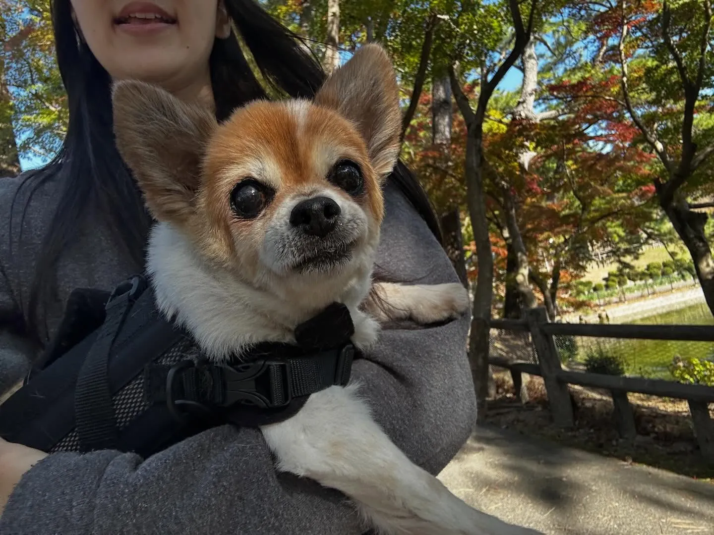 昨日はレンくんの16歳のお誕生日でした㊗️