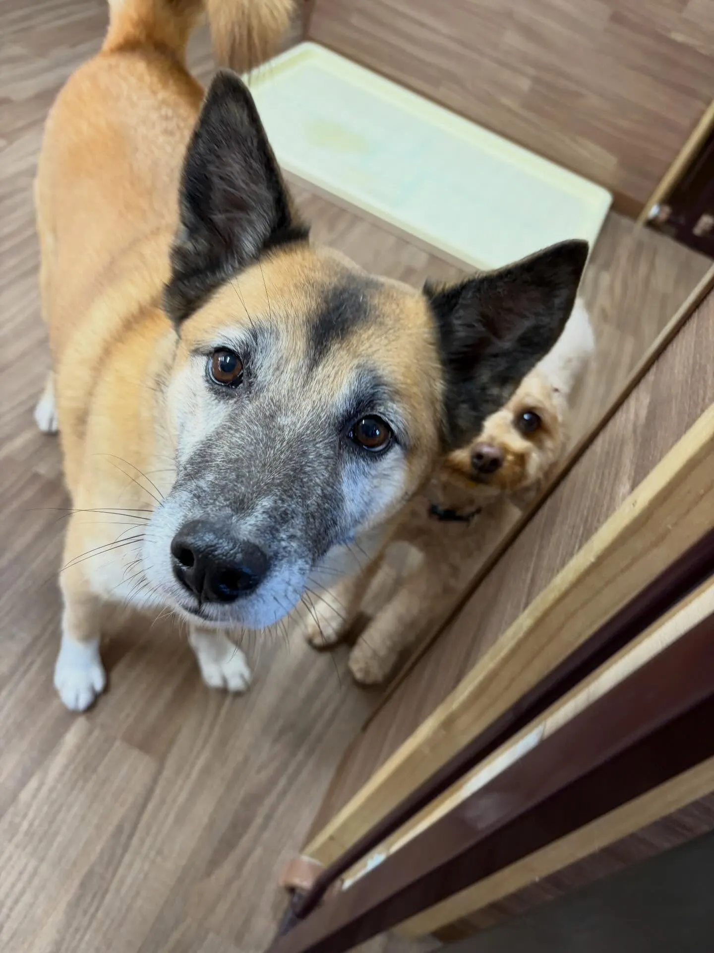 クリスマスイベントを先日開催したので😊