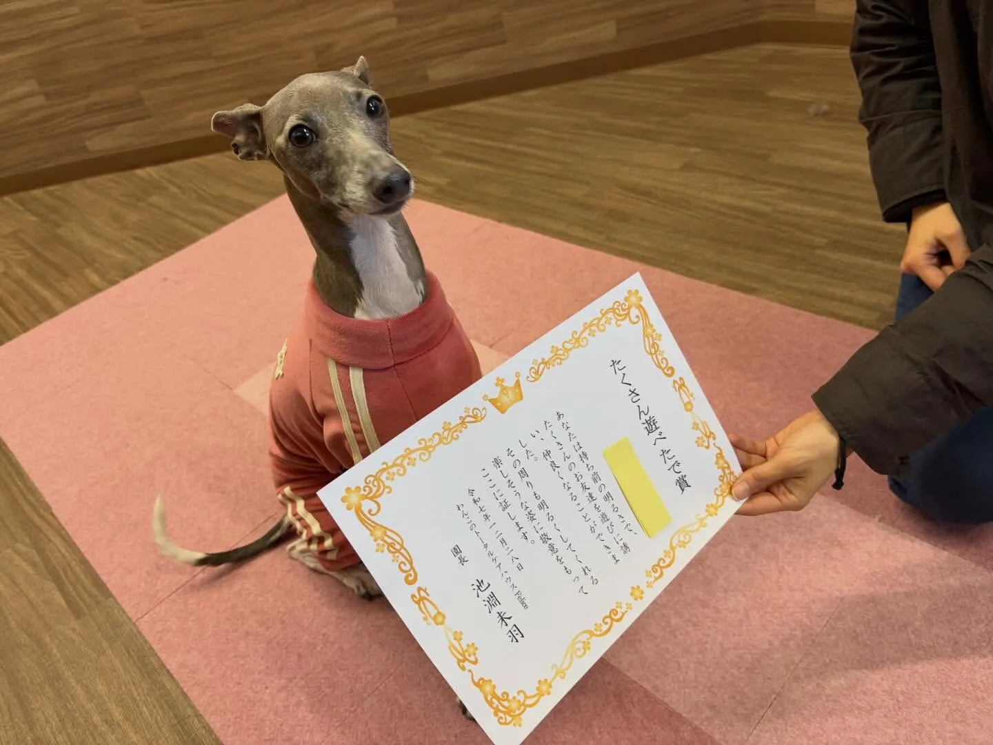 年納めイベントの動画もYouTubeにアップしましたよー🤗