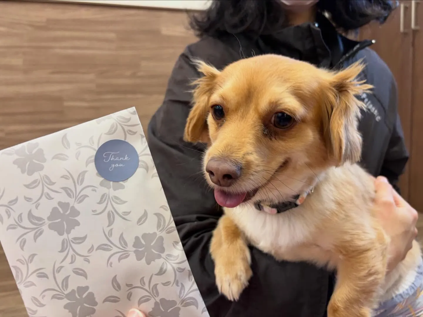 年納めイベントの動画もYouTubeにアップしましたよー🤗