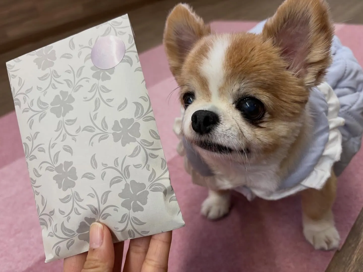 年納めイベントの動画もYouTubeにアップしましたよー🤗