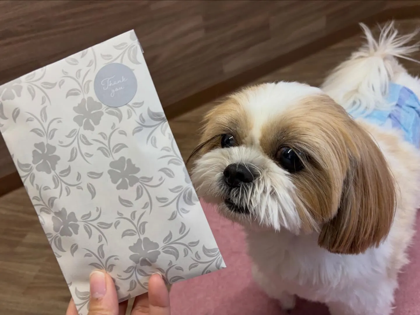 年納めイベントの動画もYouTubeにアップしましたよー🤗