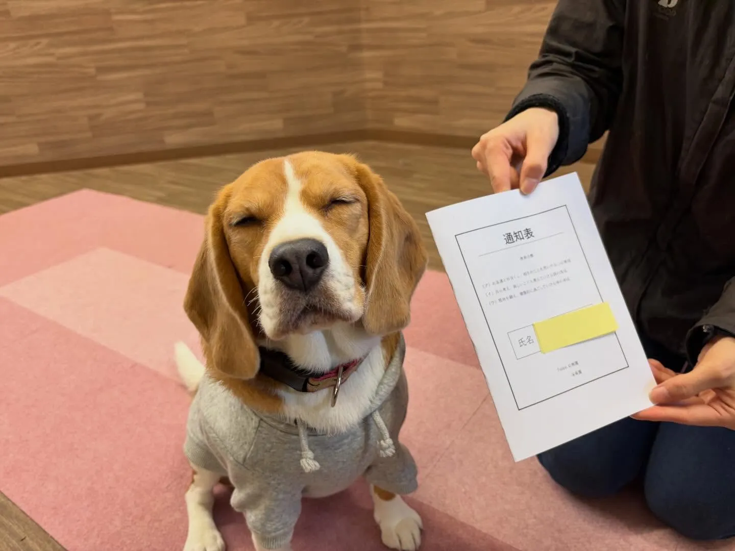 年納めイベントの動画もYouTubeにアップしましたよー🤗