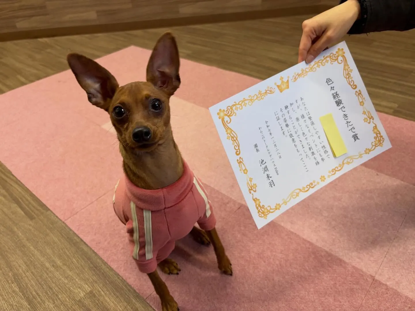 年納めイベントの動画もYouTubeにアップしましたよー🤗