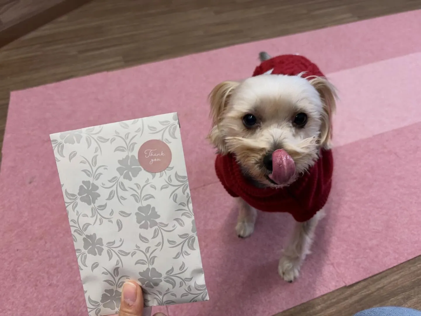 年納めイベントの動画もYouTubeにアップしましたよー🤗