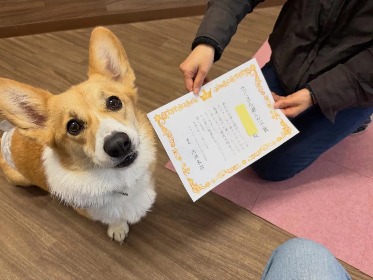 年納めイベントの動画もYouTubeにアップしましたよー🤗