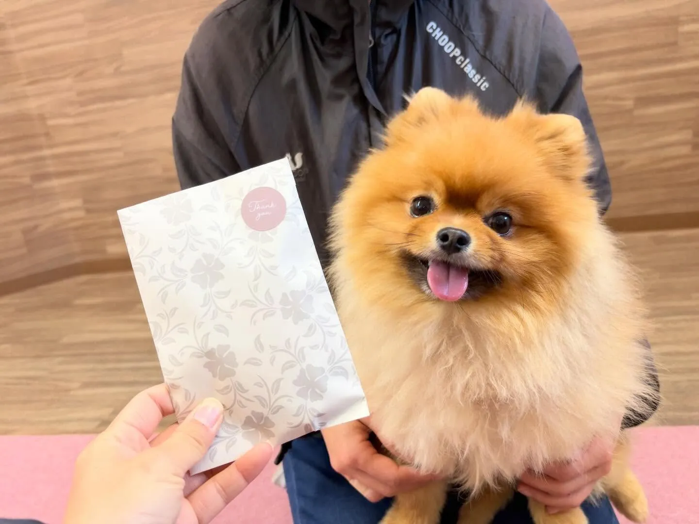 年納めイベント2日目の動画も年内に無事アップできました🤗