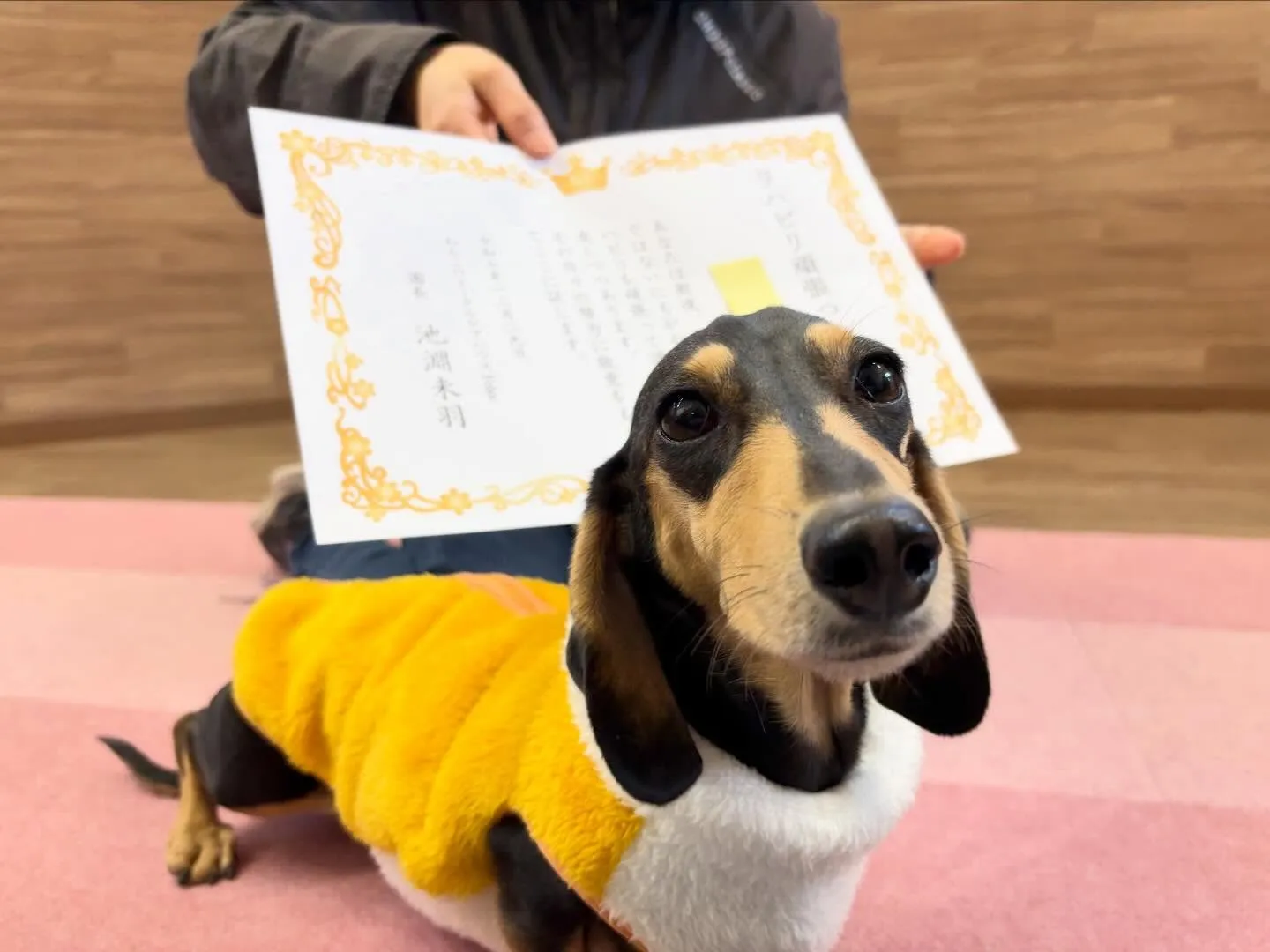 年納めイベント2日目の動画も年内に無事アップできました🤗