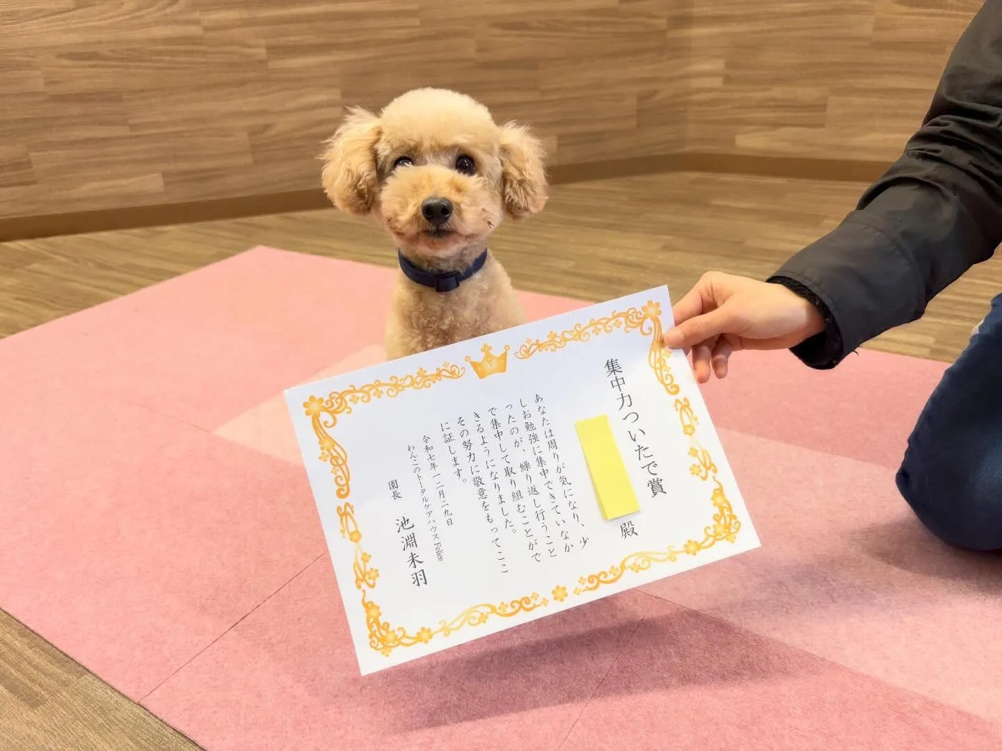 年納めイベント2日目の動画も年内に無事アップできました🤗