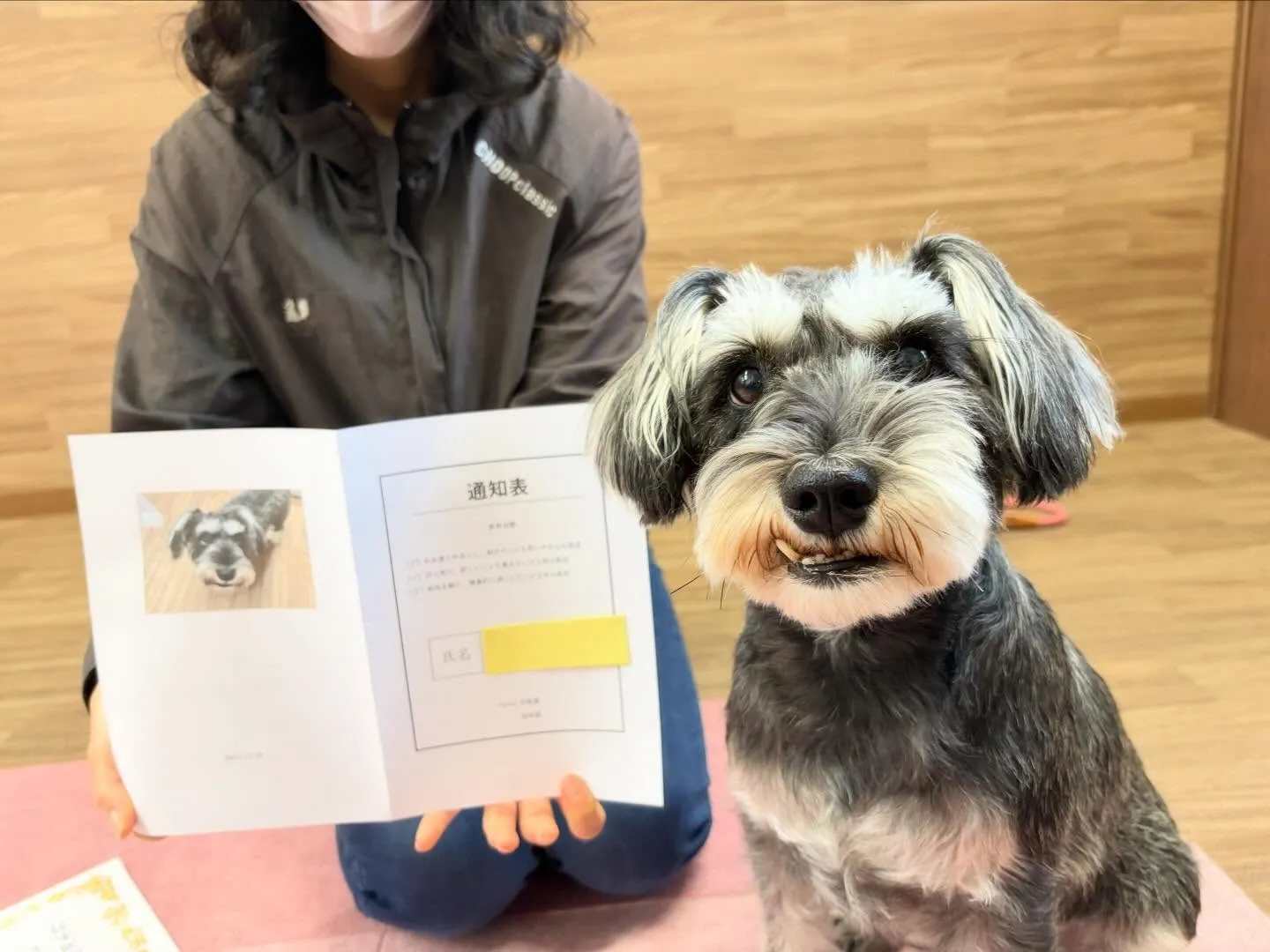 年納めイベント2日目の動画も年内に無事アップできました🤗