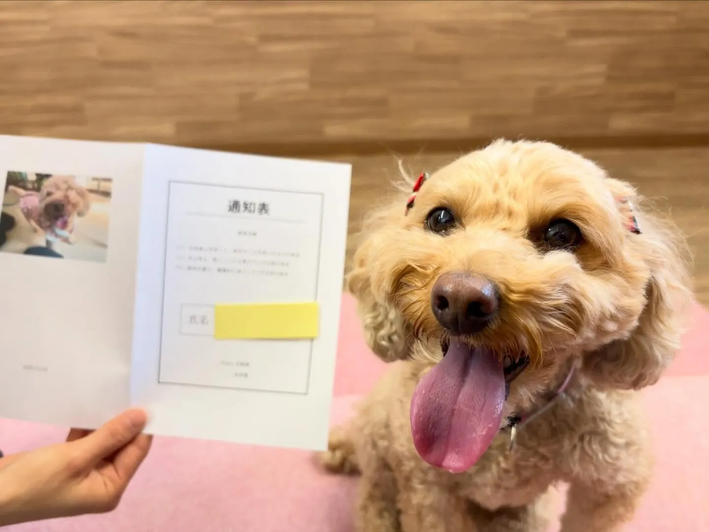 年納めイベント2日目の動画も年内に無事アップできました🤗