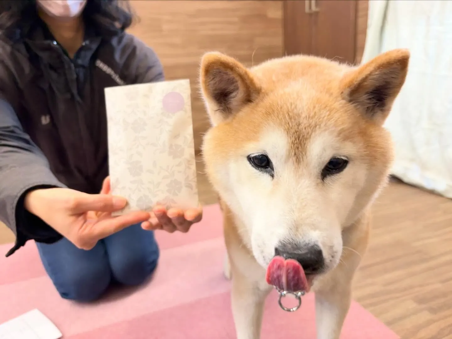 年納めイベント2日目の動画も年内に無事アップできました🤗