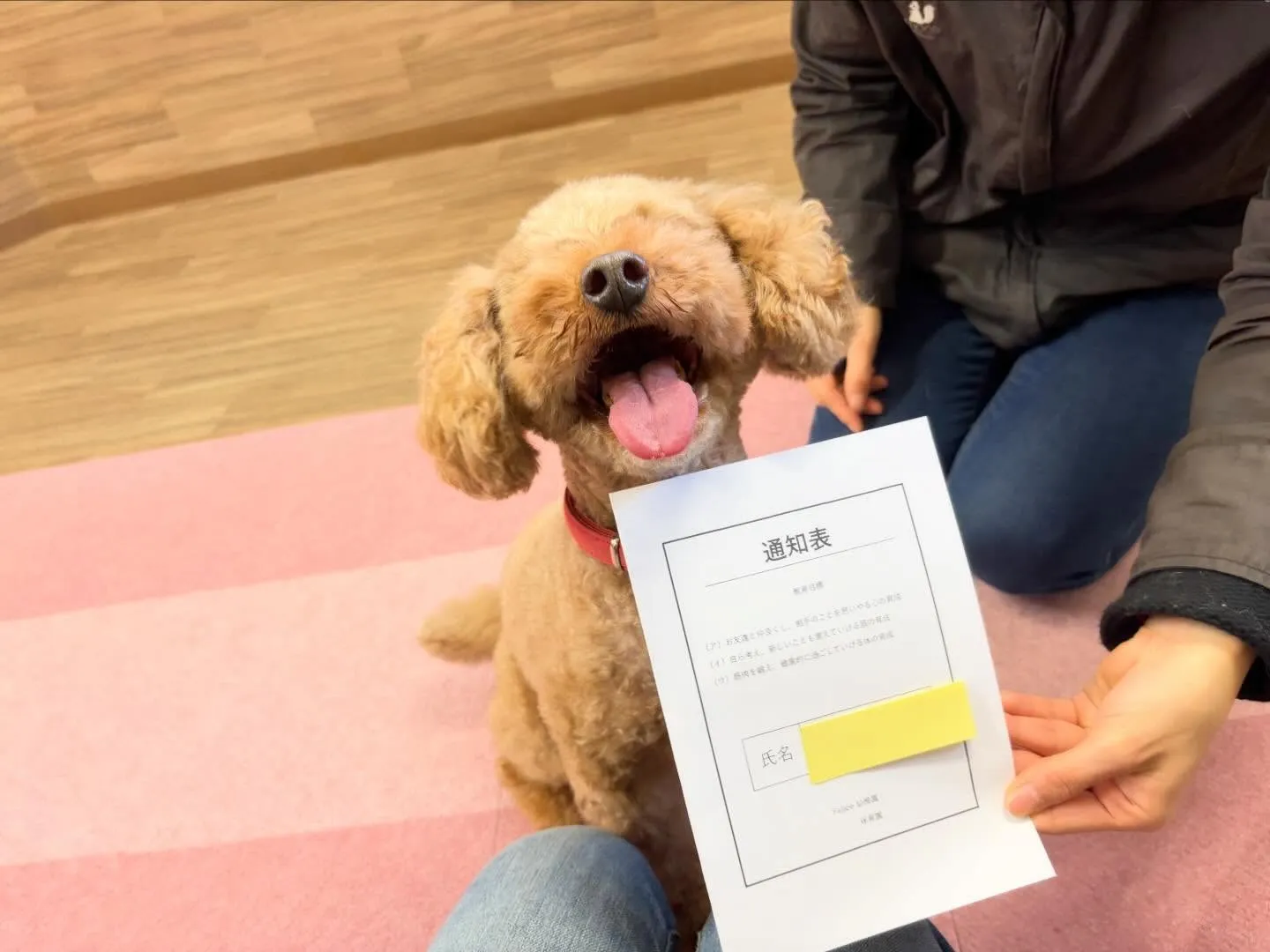 年納めイベント2日目の動画も年内に無事アップできました🤗