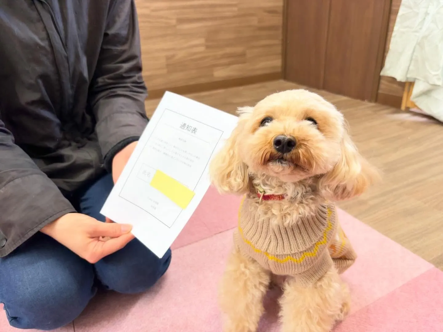 年納めイベント2日目の動画も年内に無事アップできました🤗