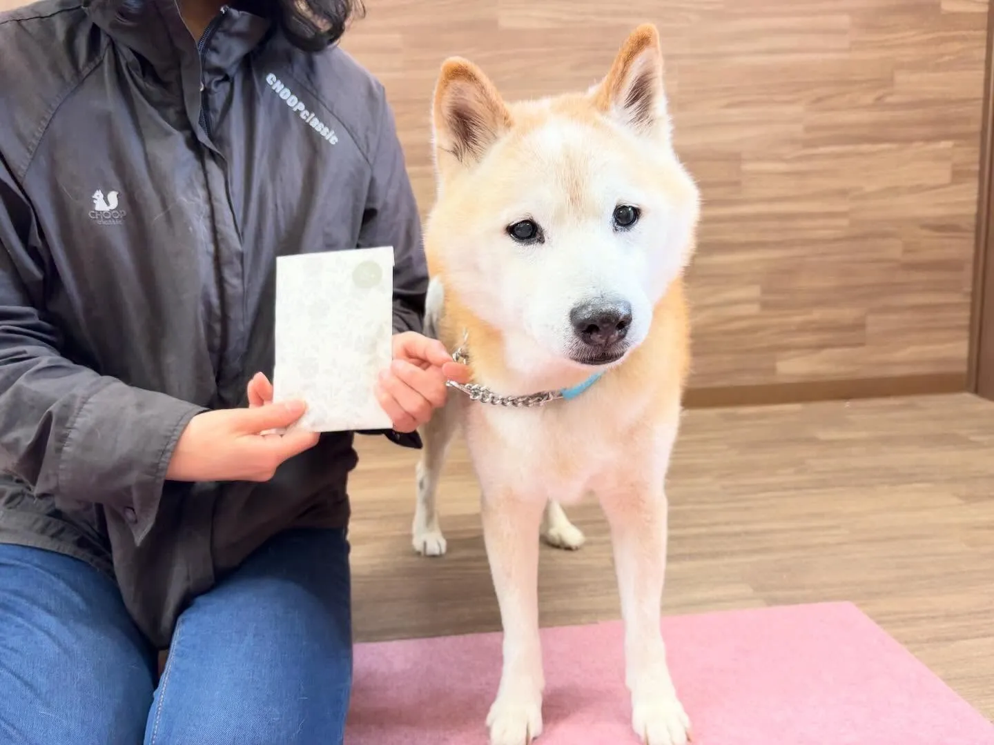 年納めイベント2日目の動画も年内に無事アップできました🤗