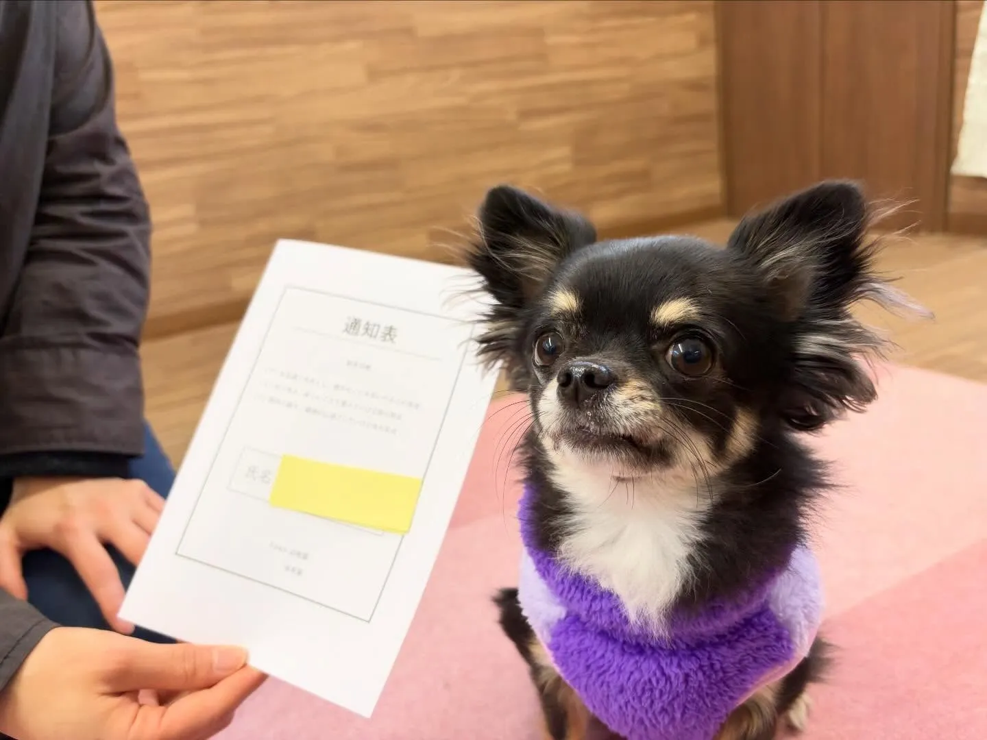 年納めイベント2日目の動画も年内に無事アップできました🤗