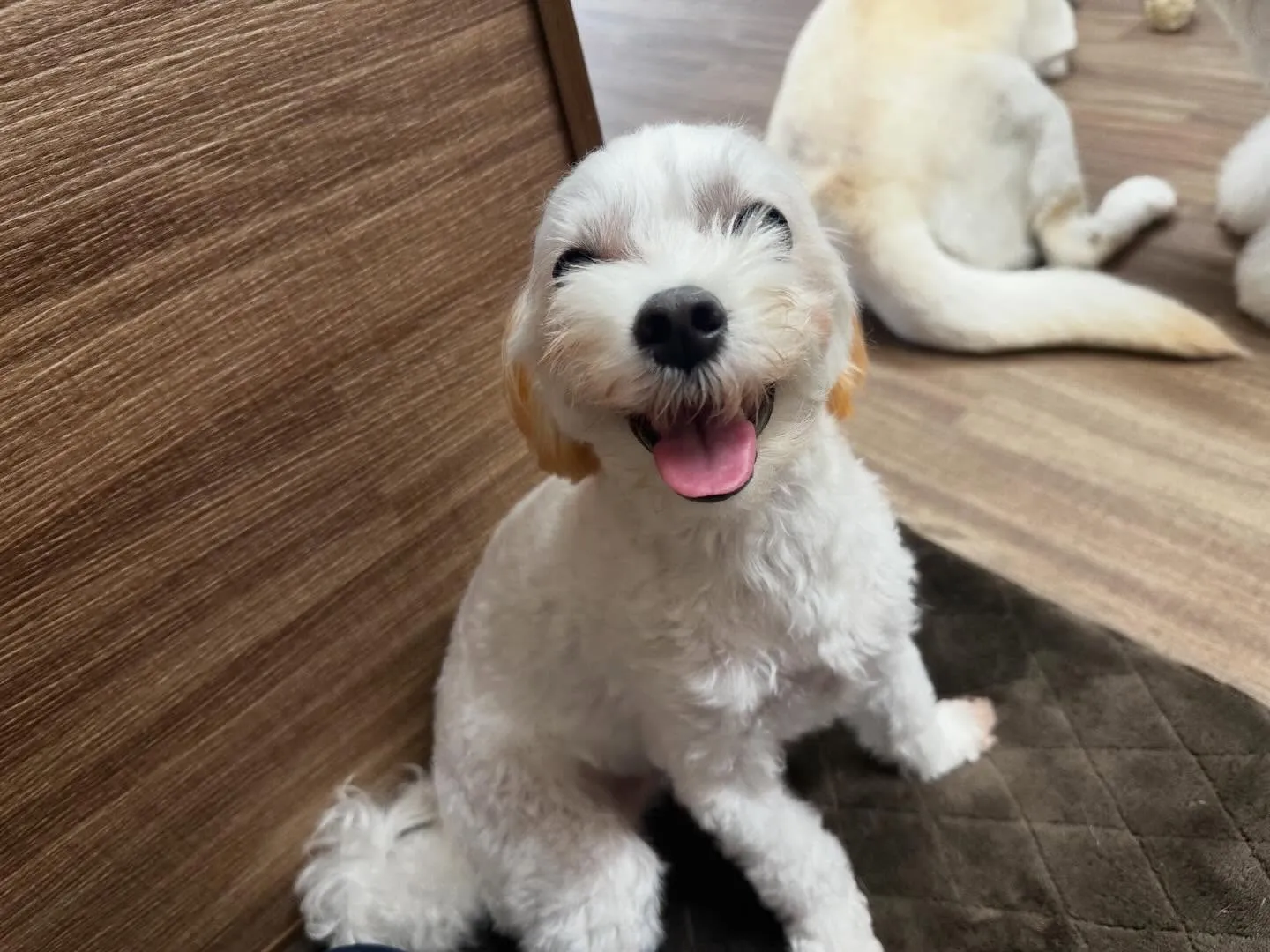 2025年も残りわずかとなって参りました…！