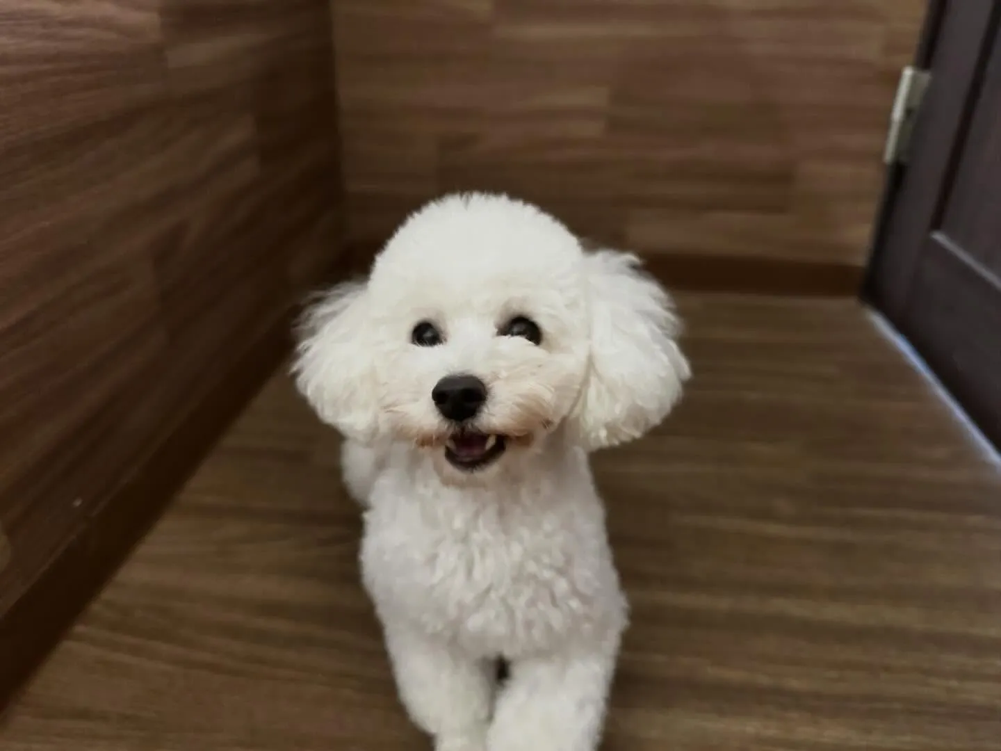 2025年も残りわずかとなって参りました…！