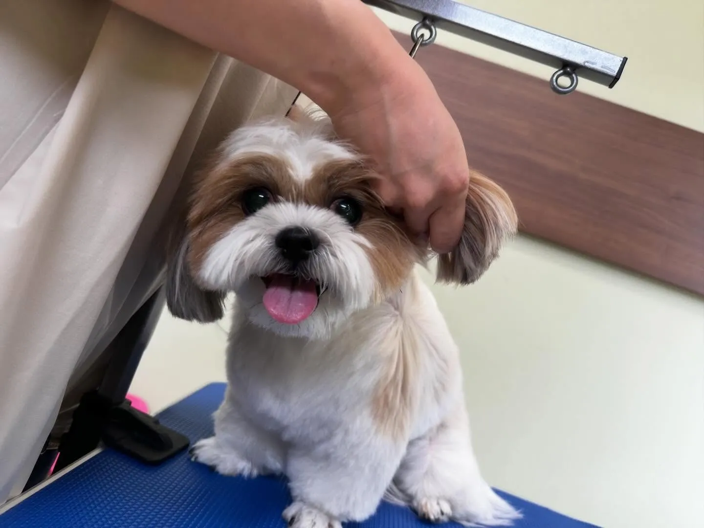 2025年も残りわずかとなって参りました…！