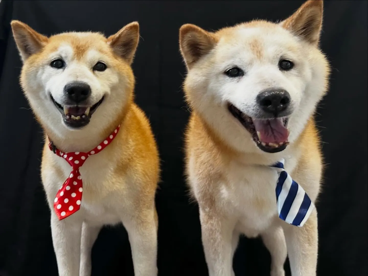 2025年も残りわずかとなって参りました…！