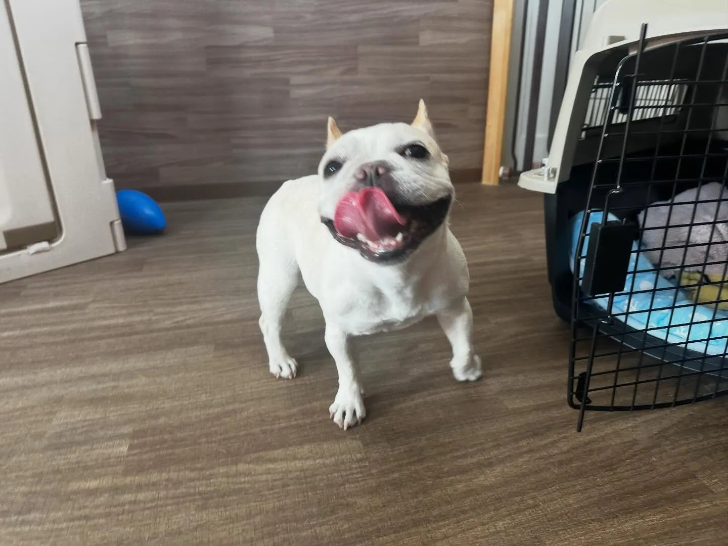 2025年も残りわずかとなって参りました…！