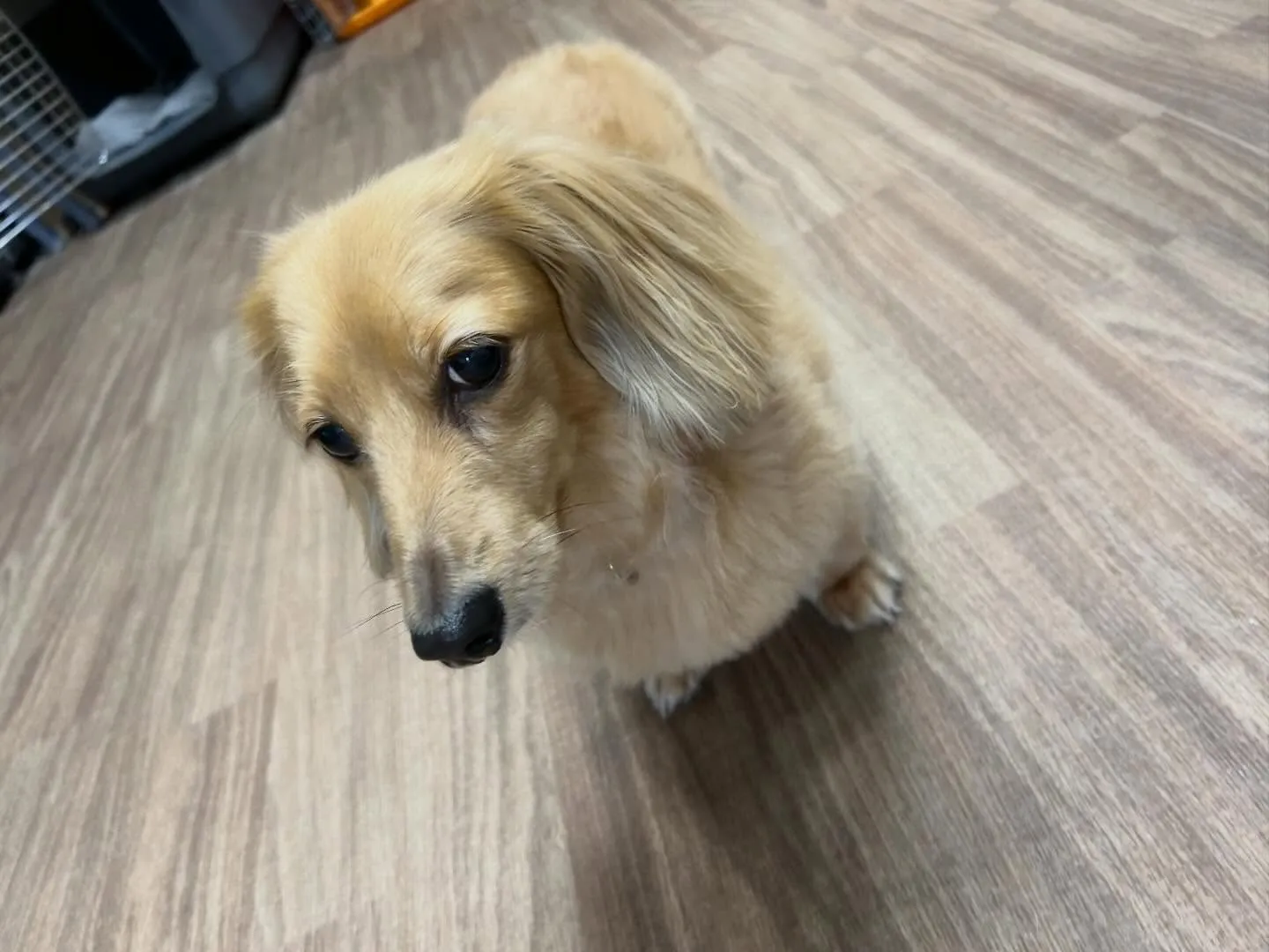 2025年も残りわずかとなって参りました…！