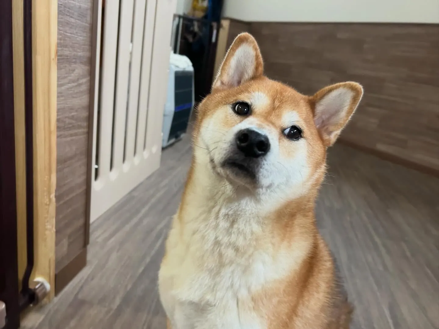 2025年も残りわずかとなって参りました…！