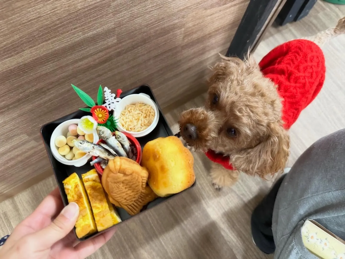 新年明けましておめでとうございます🎍🌅