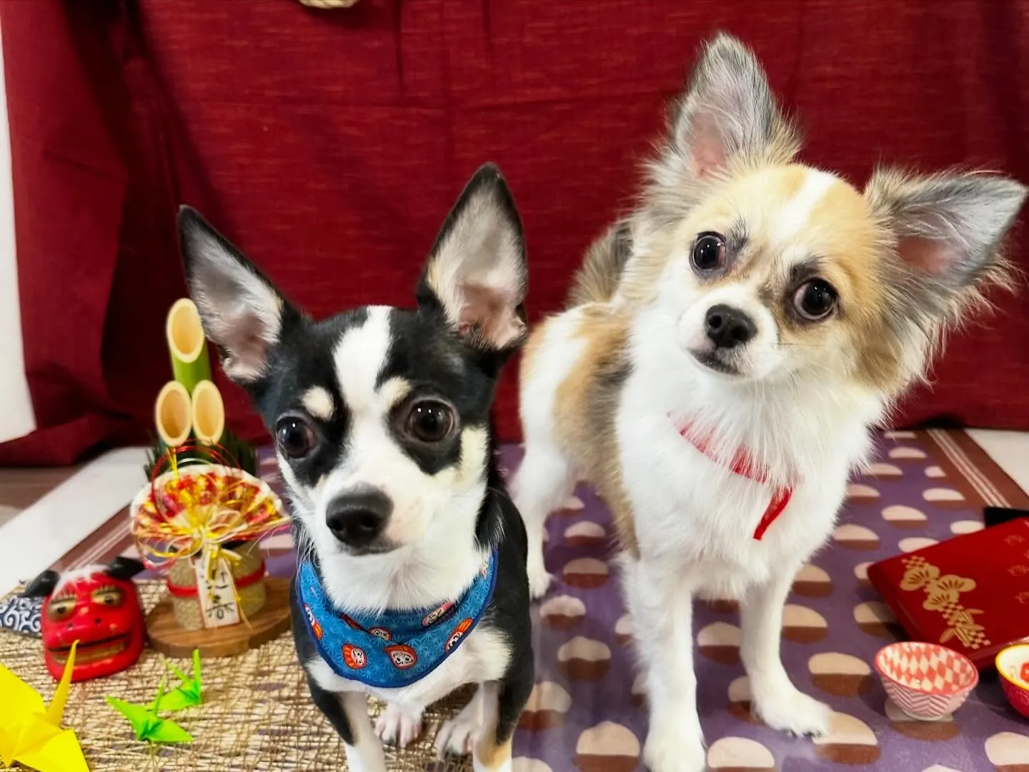 新年明けましておめでとうございます🎍🌅