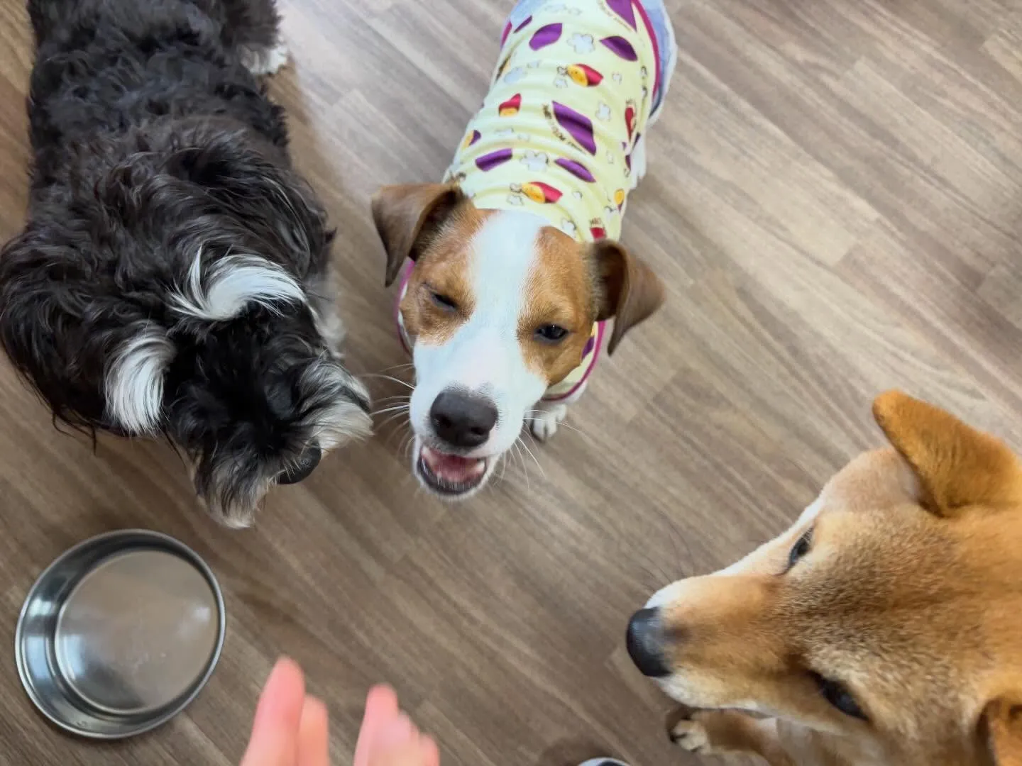 明けましておめでとうございます🎍