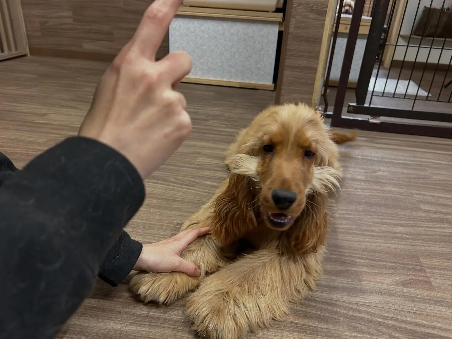 明けましておめでとうございます🎍