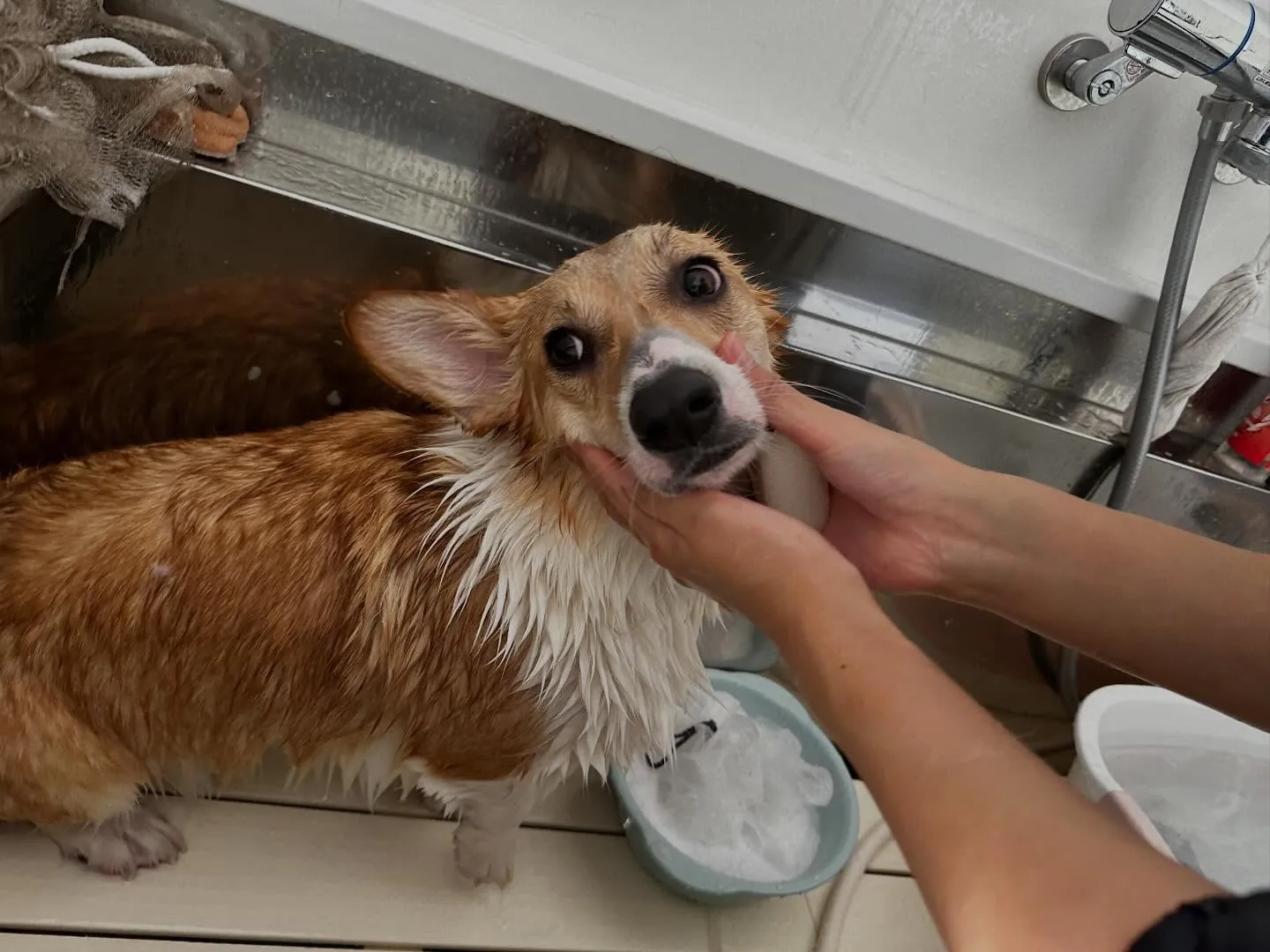 明けましておめでとうございます🎍