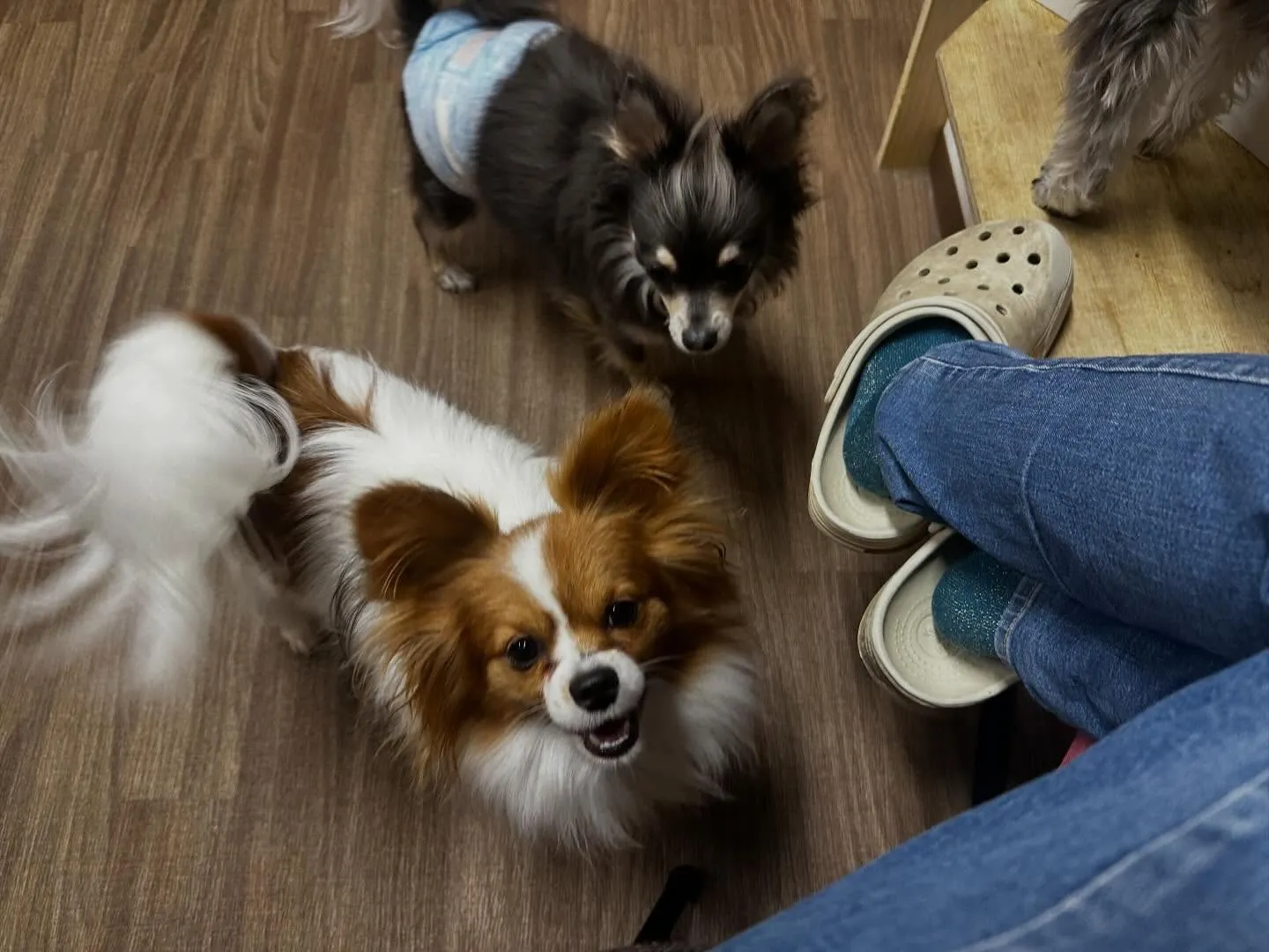 明けましておめでとうございます🎍