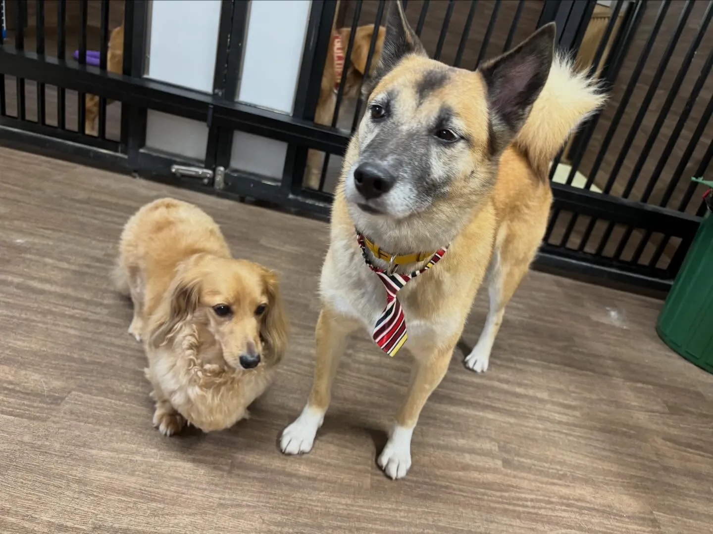 明けましておめでとうございます🎍