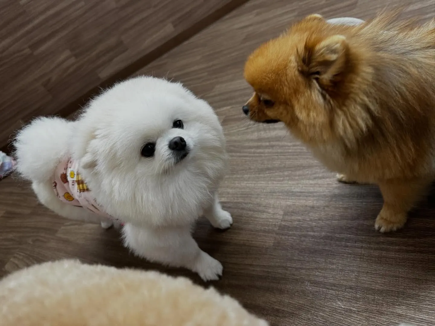 明けましておめでとうございます🎍