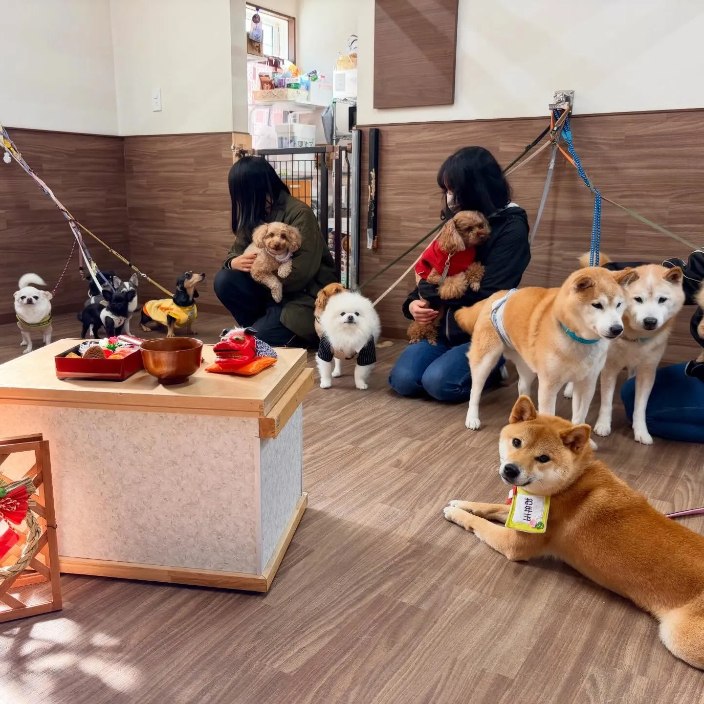 昨日の新年イベントの写真たちです🎍