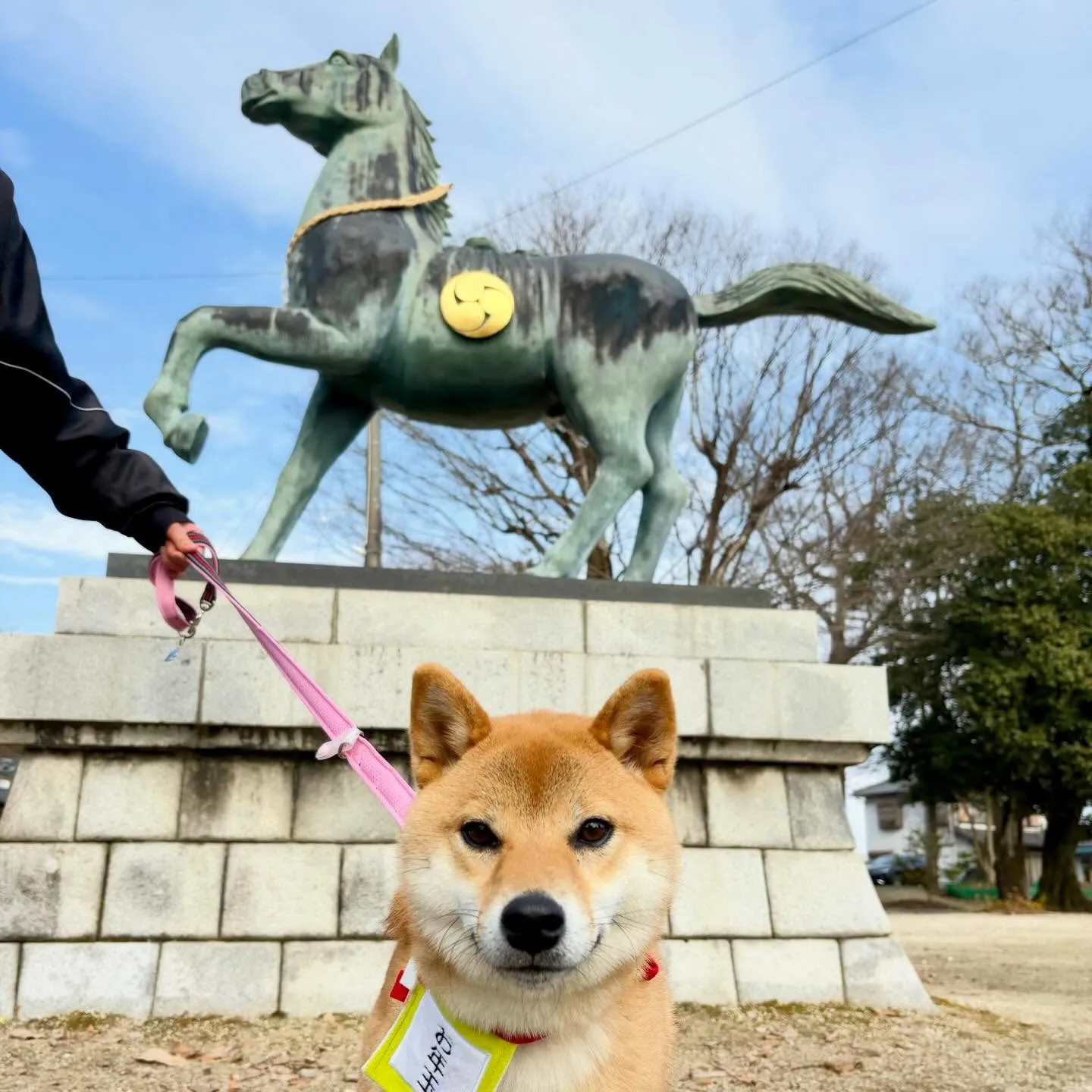 昨日の新年イベントの写真たちです🎍