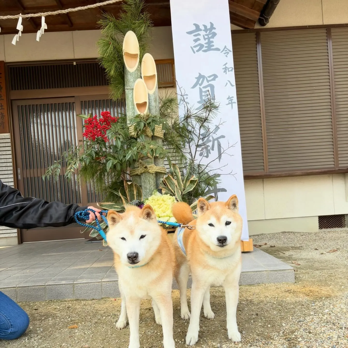 昨日の新年イベントの写真たちです🎍