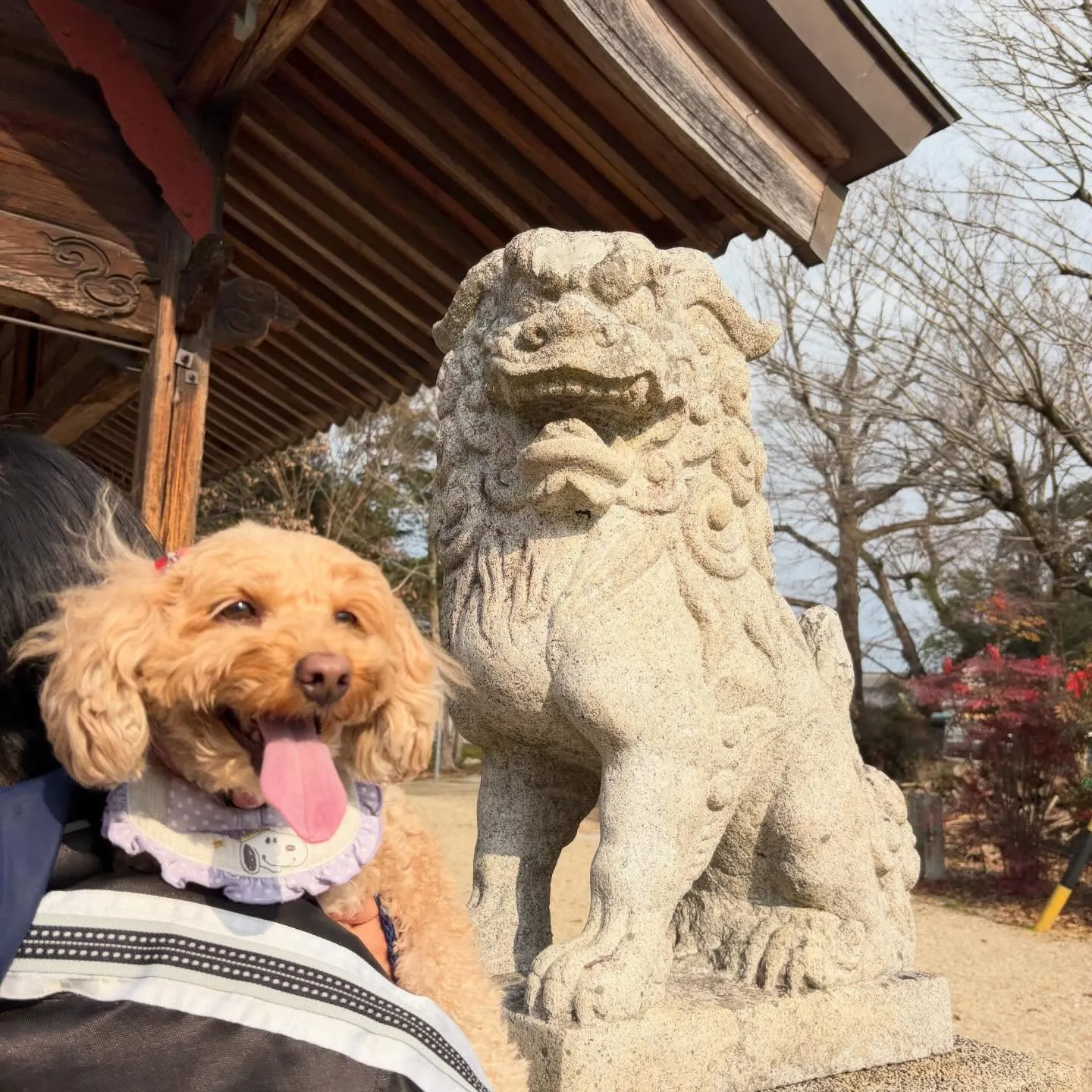 昨日の新年イベントの写真たちです🎍