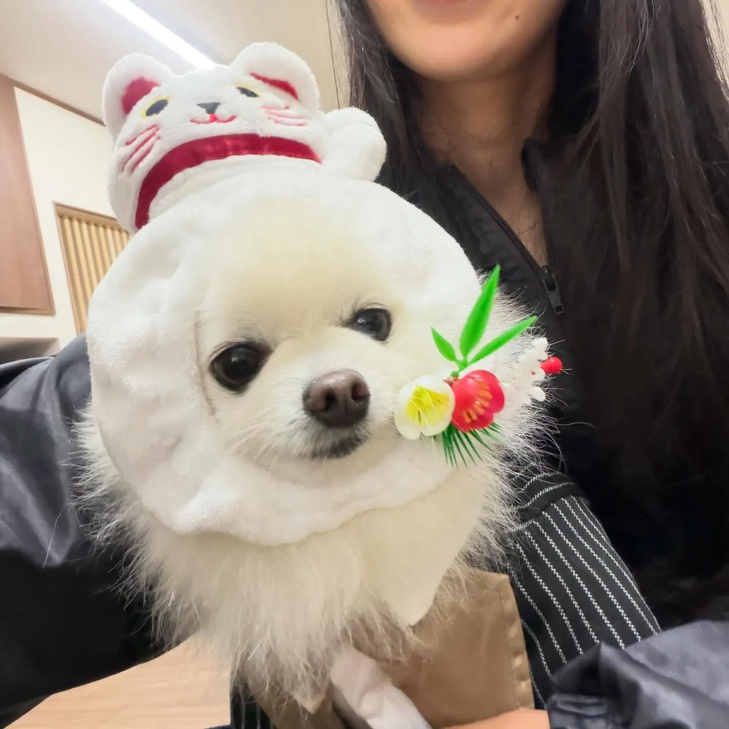 昨日の新年イベントの写真たちです🎍