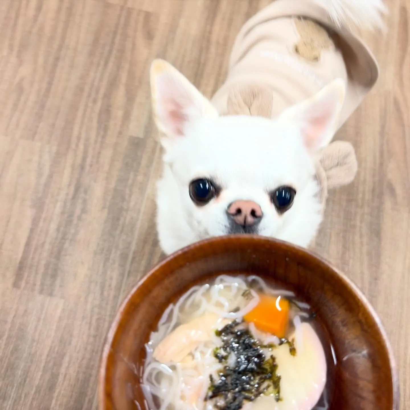 昨日の新年イベントの写真たちです🎍