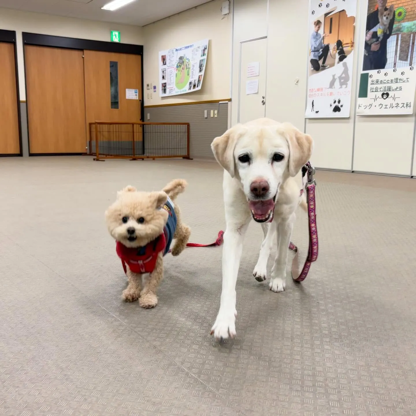 昨日は2026年初学校でした🏫