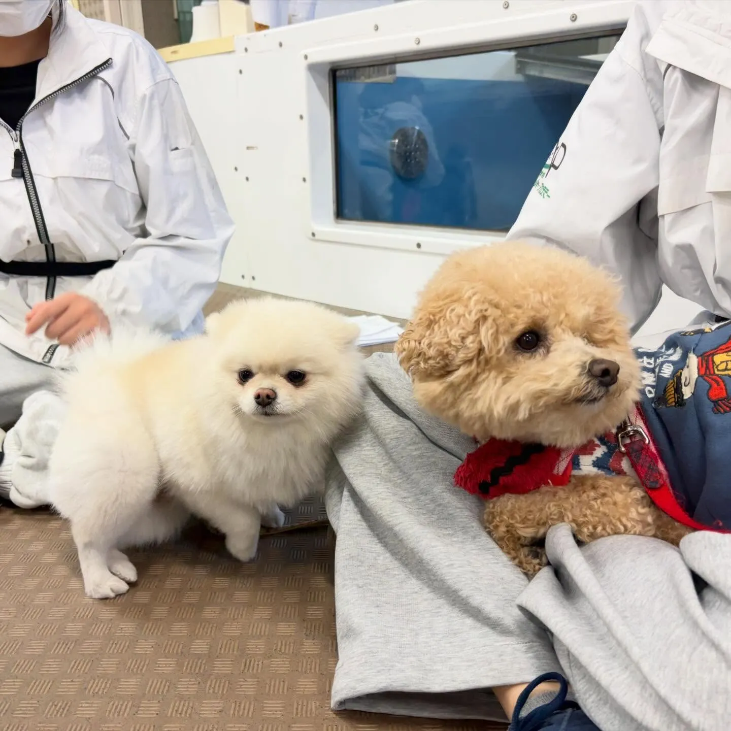 昨日は2026年初学校でした🏫