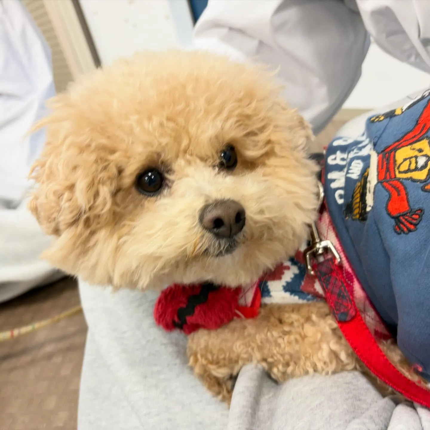 昨日は2026年初学校でした🏫