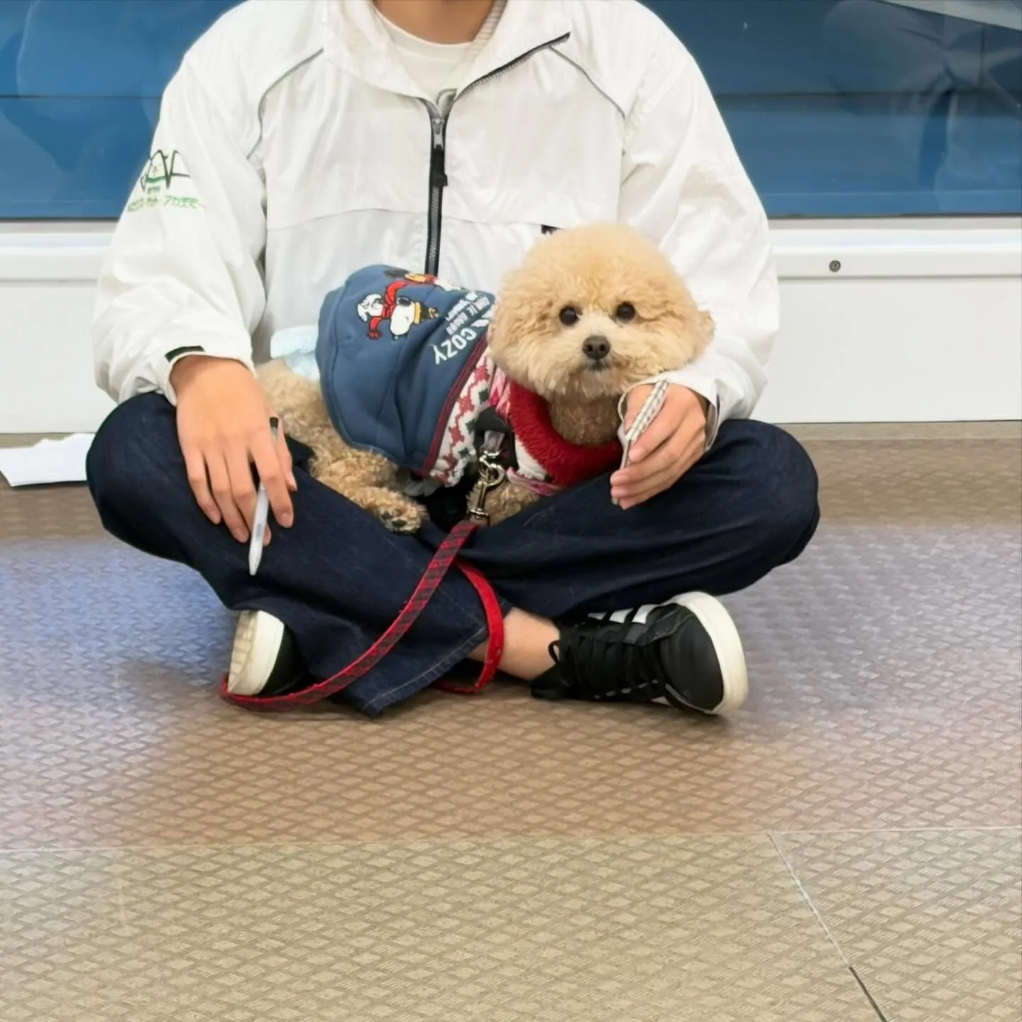 昨日は2026年初学校でした🏫