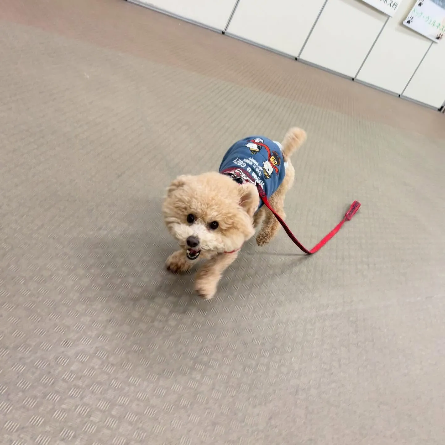 昨日は2026年初学校でした🏫