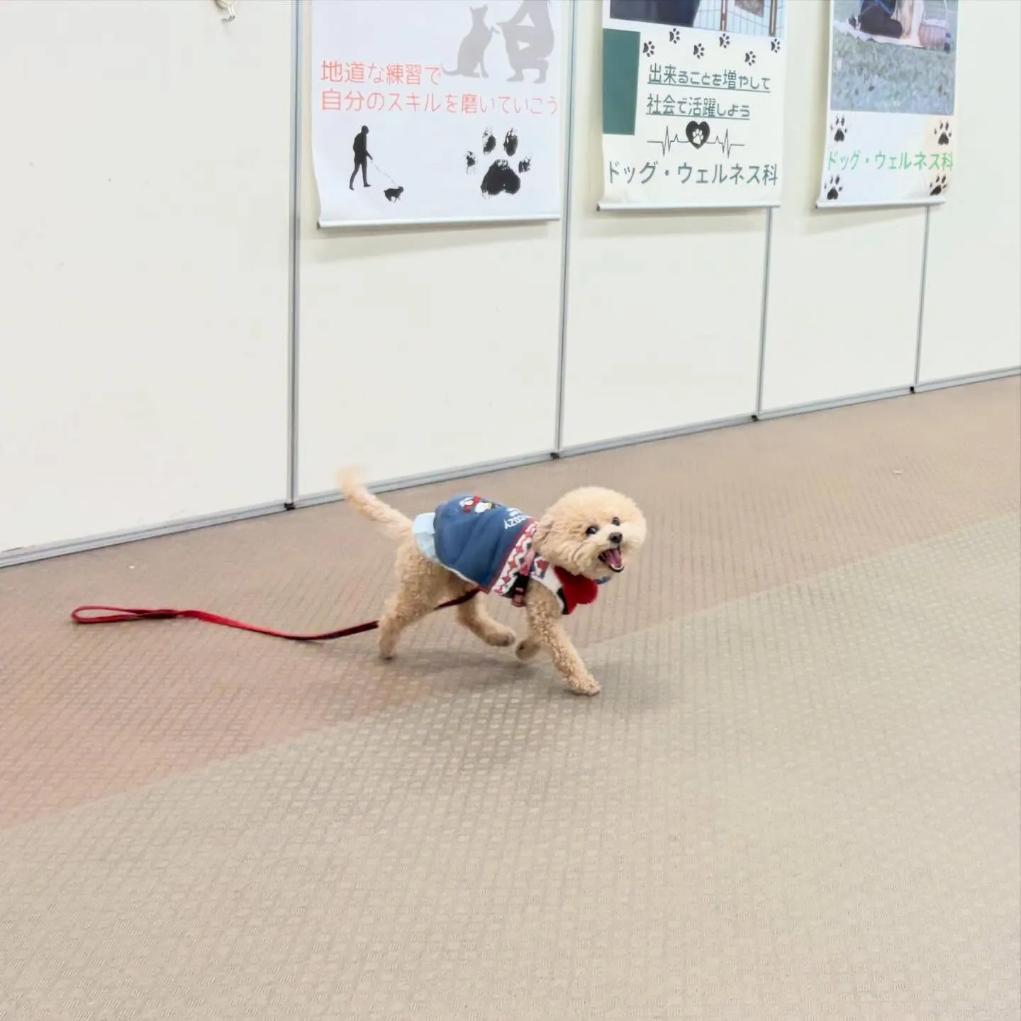 昨日は2026年初学校でした🏫