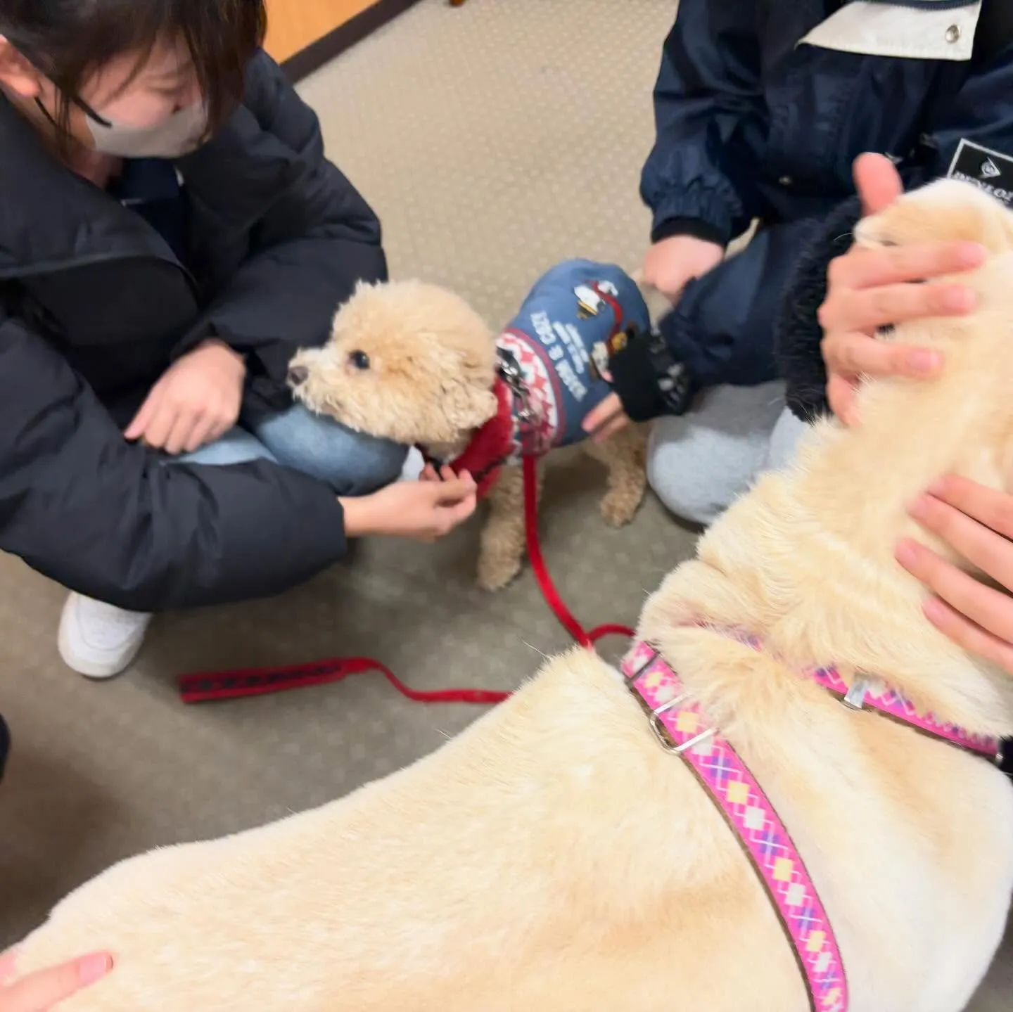 昨日は2026年初学校でした🏫