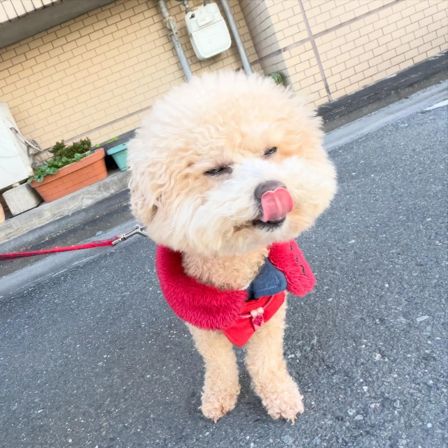 昨日は2026年初学校でした🏫