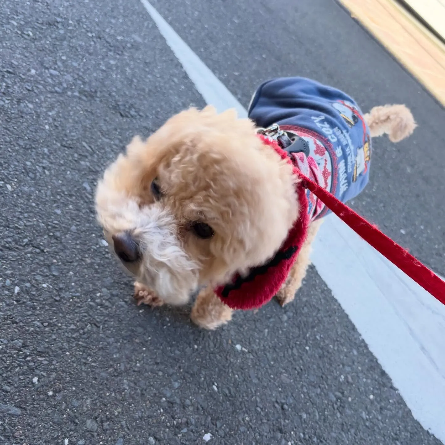 昨日は2026年初学校でした🏫